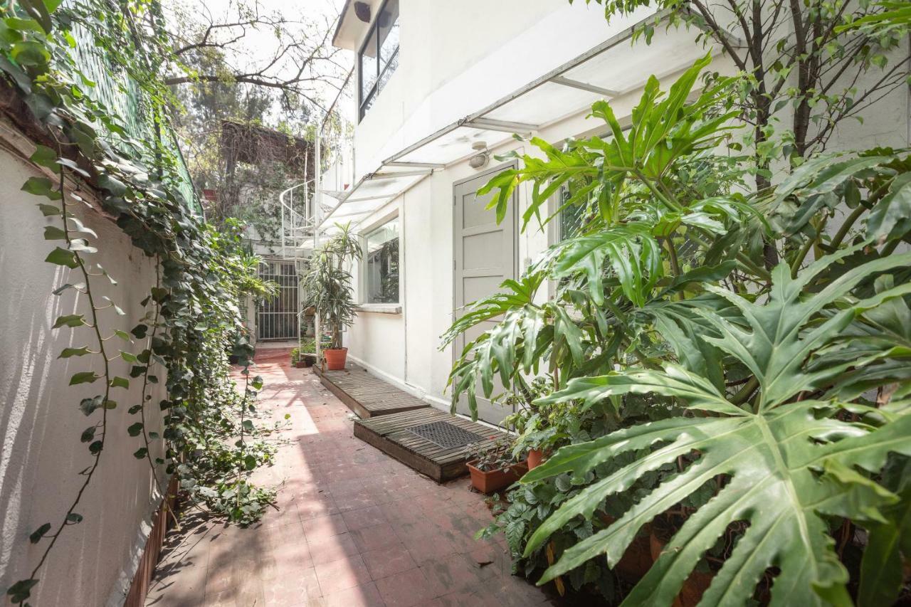 Loft Contemporaneo A 50M De La Plaza Principal De Coyoacan เม็กซิโกซิตี้ ภายนอก รูปภาพ